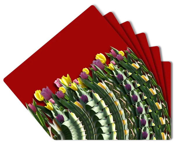 Plastic_Dining_Tulip_Garden_Print_Place_Mat_Set_Of_6