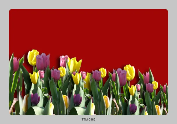 Plastic_Dining_Tulip_Garden_Print_Place_Mat_Set_Of_6