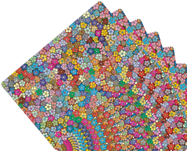 Plastic_Dining_Multicolor_Floral_Print_Table_Mat_Set_Of_6