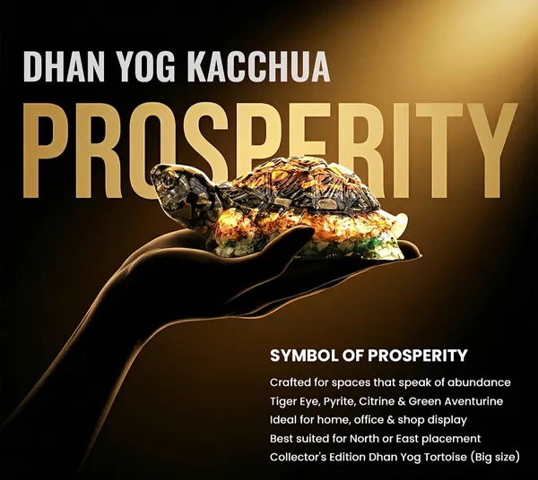 Dhan_Yog_Kachua_Money_Magnet_Crystal_Turtle_Feng_Shui_Prosperity_Symbol