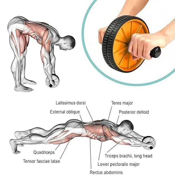 Abs_Roller_Wheel_With_Foam_Grip