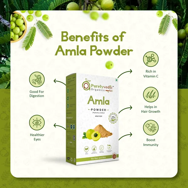 Purelyvedic_Organics_Amla_Powder_For_Hair_And_Skin