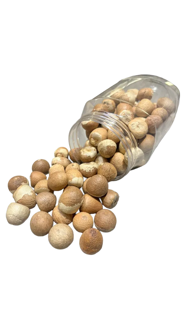 GKS_Pooja_Supari,_Whole_Supari,_Arecanut,_Betalnut,_Pungifalam,_Pack_Of_1,_450Gm