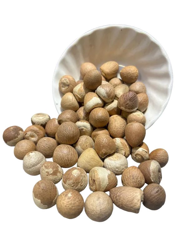 GKS_Pooja_Supari,_Whole_Supari,_Arecanut,_Betalnut,_Pungifalam,_Pack_Of_1,_450Gm