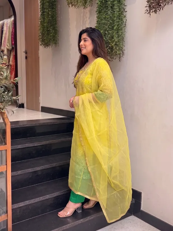 Chinon_with_Cotton_Lining_Embroidered_and_Printed_Straight_Kurta_with_Pant_and_Dupatta_Sets