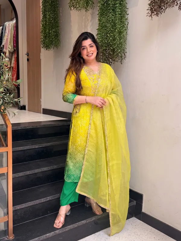 Chinon_with_Cotton_Lining_Embroidered_and_Printed_Straight_Kurta_with_Pant_and_Dupatta_Sets