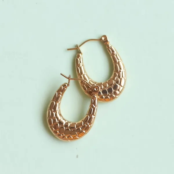 Classic_Hoops_Earrings