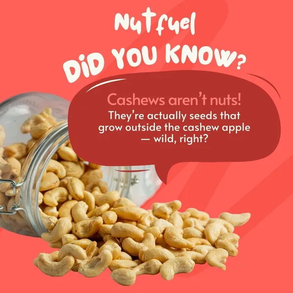 Premium_Cashew_400_Gm_Crunchy_Fresh_Kaju_rich_in_Protein_Fiber_Healthy_Fats_Dry_Fruit