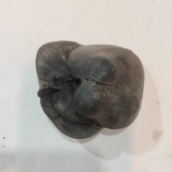 Navi_Chakra_Shaligram_Two_Part