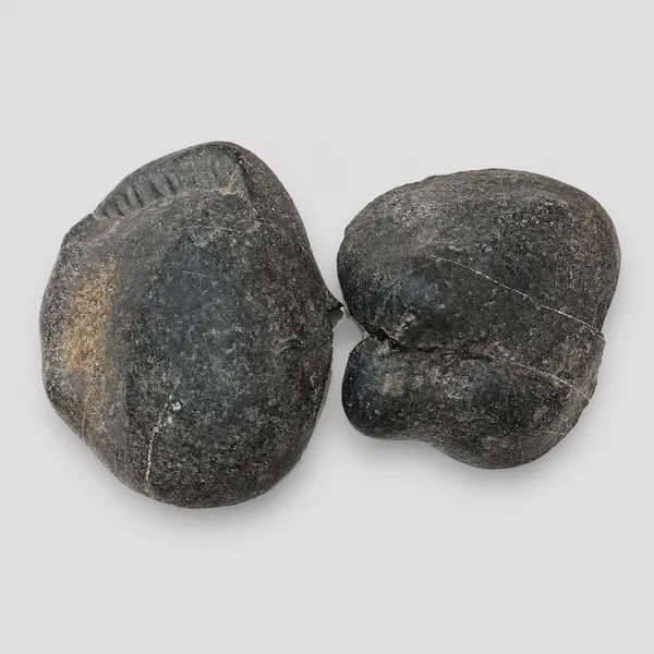 Navi_Chakra_Shaligram_Two_Part