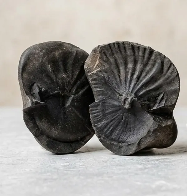 Navi_Chakra_Shaligram_Two_Part