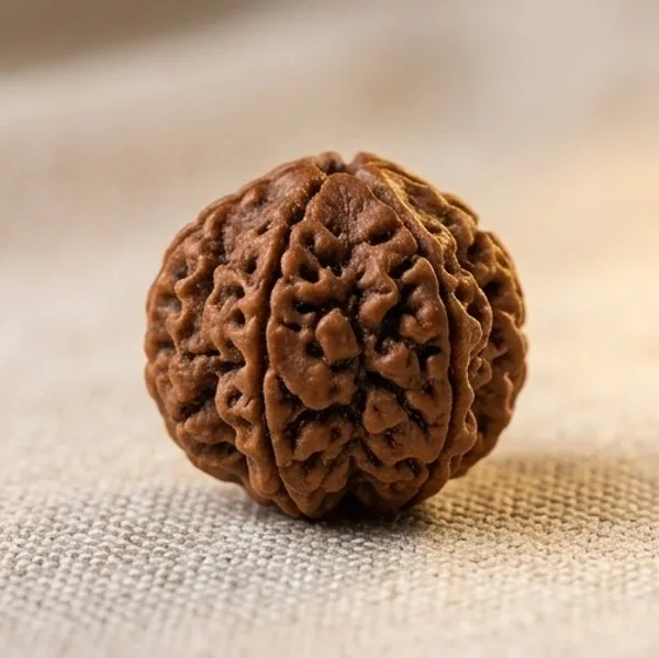 Natural_Rudraksha_Bead_-_6_Mukhi_(Six_Face)