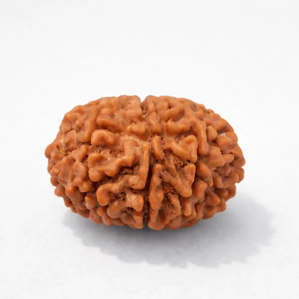 Natural_Rudraksha_Bead_-_9_Mukhi_(Nine_Face)_Indonesian_Rudraksha