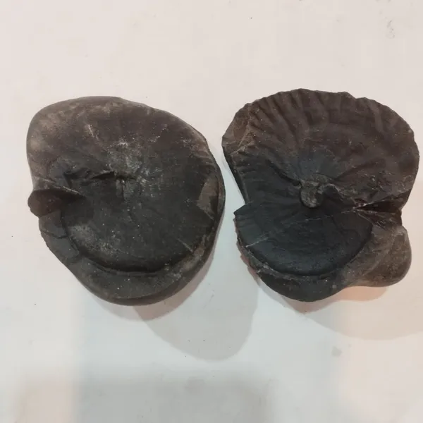 Navi_Chakra_Shaligram_Two_Part