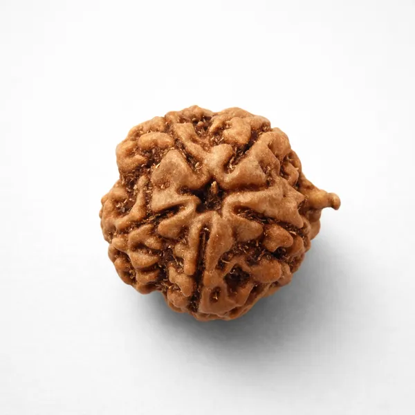 Natural_Rudraksha_Bead_-_Sacred_Prayer_And_Meditation_Bead_Ganesh_Rudraksha