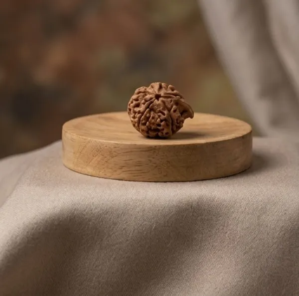 Natural_Rudraksha_Bead_-_Sacred_Prayer_And_Meditation_Bead_Ganesh_Rudraksha