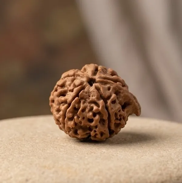 Natural_Rudraksha_Bead_-_Sacred_Prayer_And_Meditation_Bead_Ganesh_Rudraksha