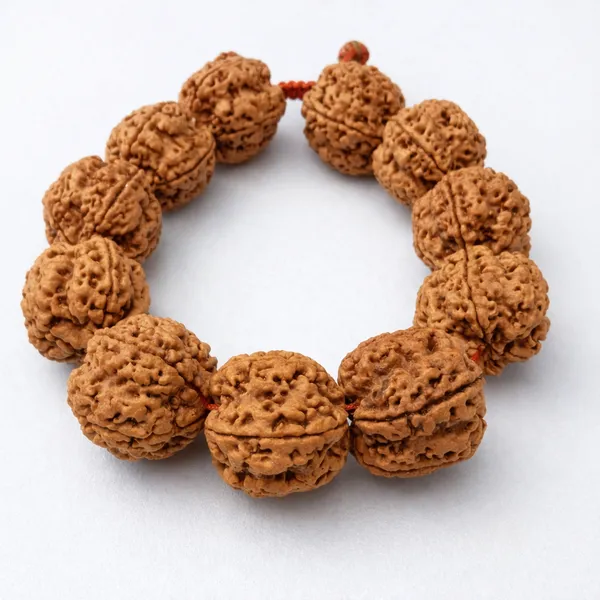 5_Mukhi_Rudraksha_Bracelet_Size_20-22Mm