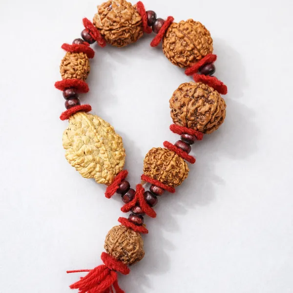 Family_Kavach_/_Authentic_Rudraksha_Bead_Mala_With_Red_Thread_And_Decorative_Beads_(2_To_7_Mukhi_With_Ganesh_Rudraksha)