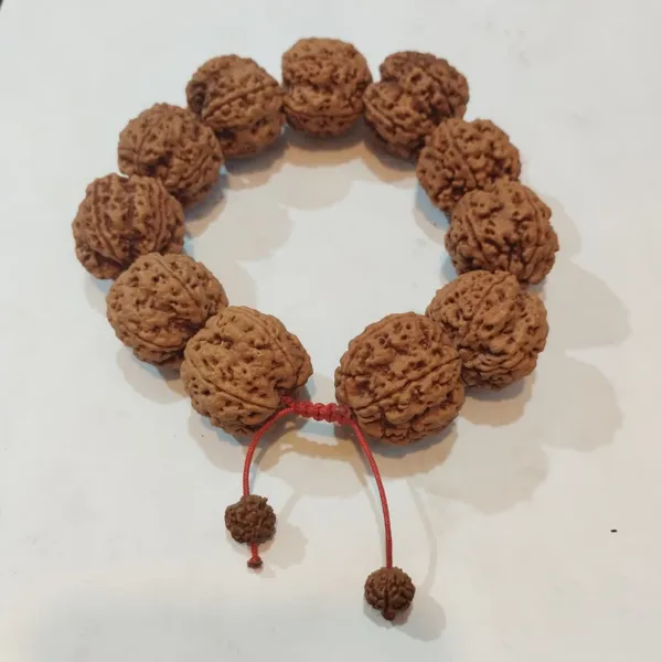 5_Mukhi_Rudraksha_Bracelet_Size_20-22Mm