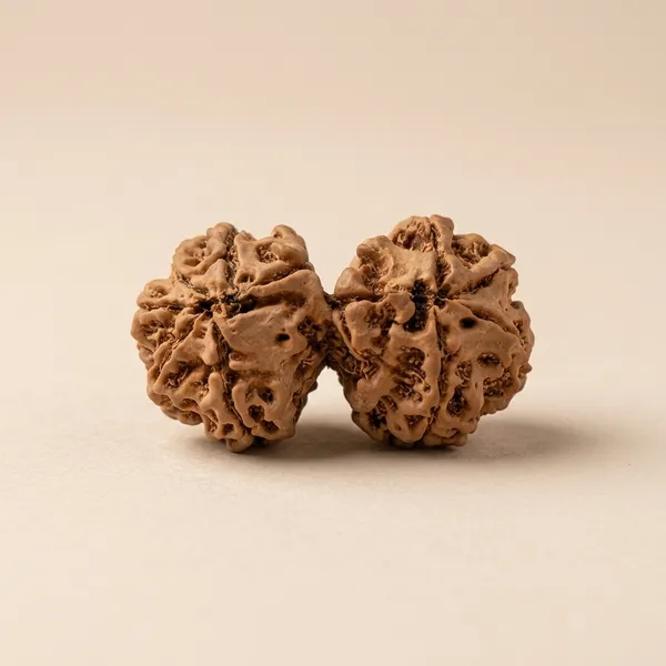 Natural_Rudraksha_Beads_-Gaurishankar_Rudraksha