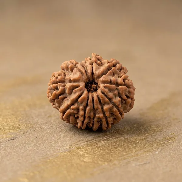 Rudraksha_Bead_-_Natural_11_Mukhi_Seed_For_Spiritual_And_Religious_Use