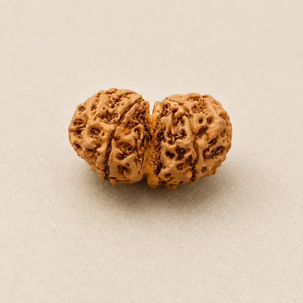 Natural_Rudraksha_Beads_-Gaurishankar_Rudraksha