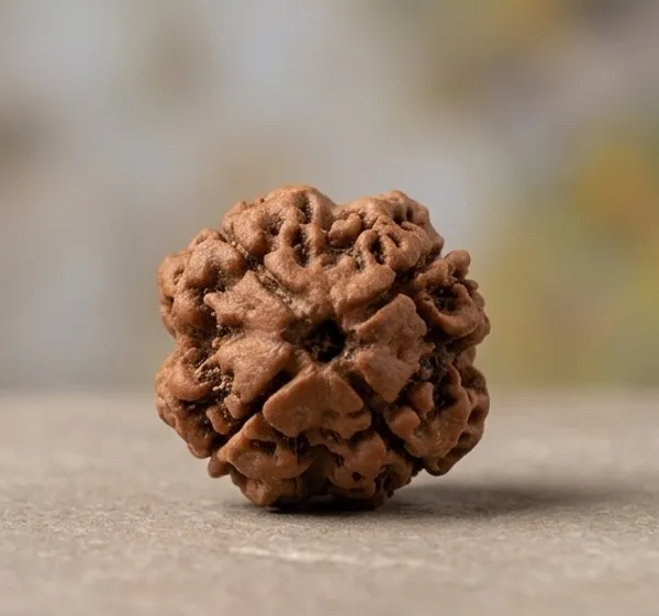 Natural_Rudraksha_Bead_-_4_Mukhi_(Four_Face)_Sacred_Hindu_Prayer_Bead