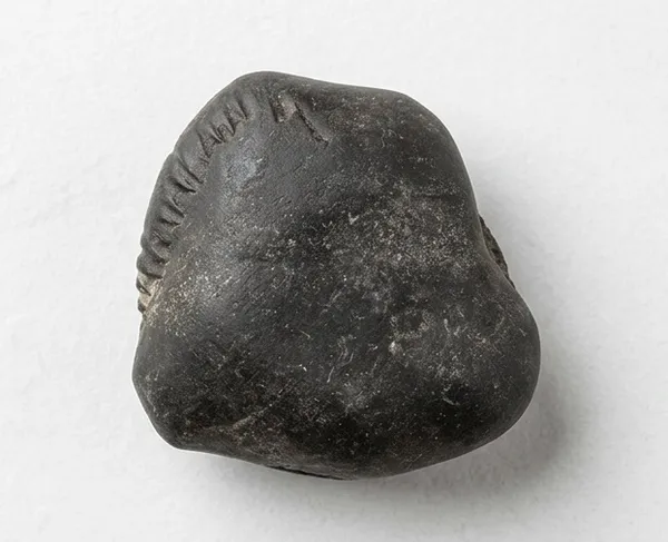 Sudarshan_Chakra_Shaligram