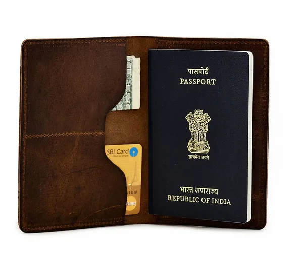 Passport_Holder_Organizer_Brown