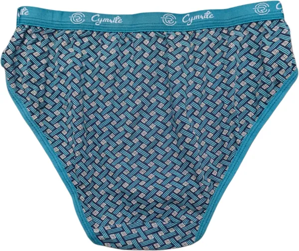 Cymrite_Women_Hipster_Multicolor_Panty