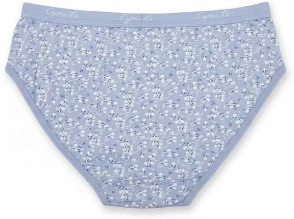 Cymrite_Women_Hipster_Multicolor_Panty