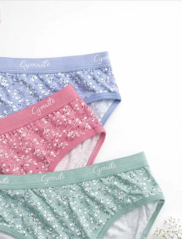 Cymrite_Women_Hipster_Multicolor_Panty