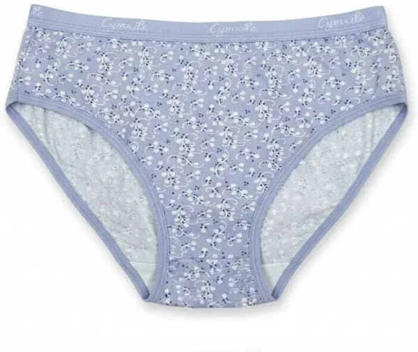Cymrite_Women_Hipster_Multicolor_Panty