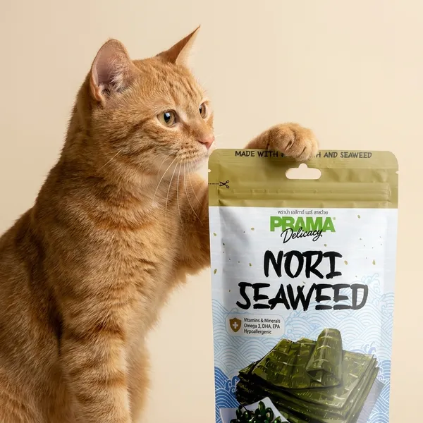 Prama_Nori_Seaweed_Dog_Treats_-_Fish_Meat_Japanese_Flavor_Pet_Snacks_50_Gm