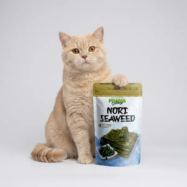 Prama_Nori_Seaweed_Dog_Treats_-_Fish_Meat_Japanese_Flavor_Pet_Snacks_50_Gm