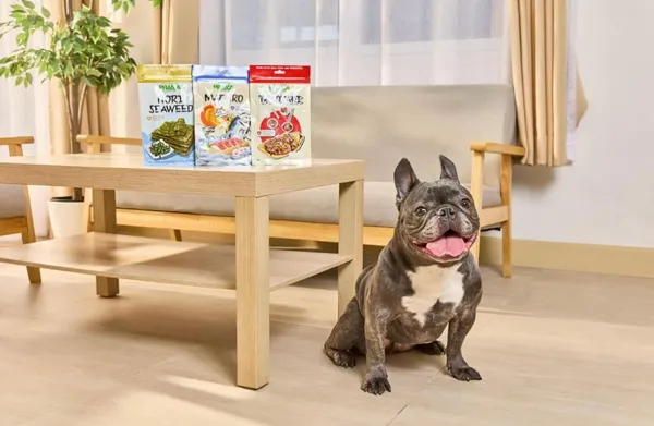 Prama_Takoyaki_Dog_&_Cat_Treats_-_Fish_Meat_Japanese_Flavor_Pet_Snacks_50_Gm