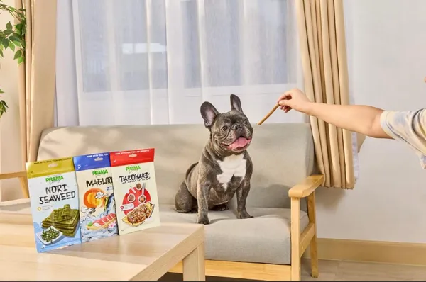 Prama_Takoyaki_Dog_&_Cat_Treats_-_Fish_Meat_Japanese_Flavor_Pet_Snacks_50_Gm