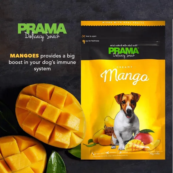 Prama_Mango_Flavored_Dog_Treats_-_70_G