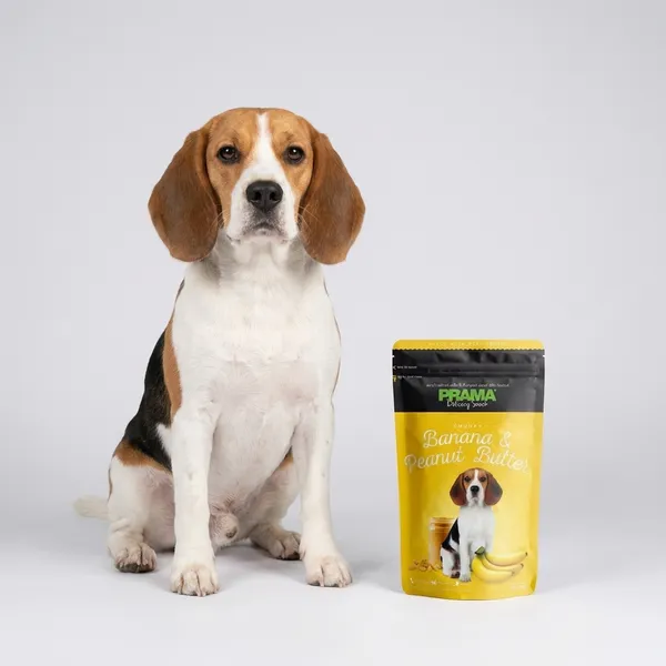 Prama_Banana_And_Peanut_Butter_Dog_Treats_70_GM