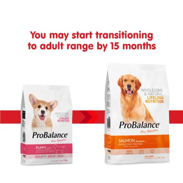 Probalance_Puppy_Dog_Food_-_Chicken,_Egg_&_Milk