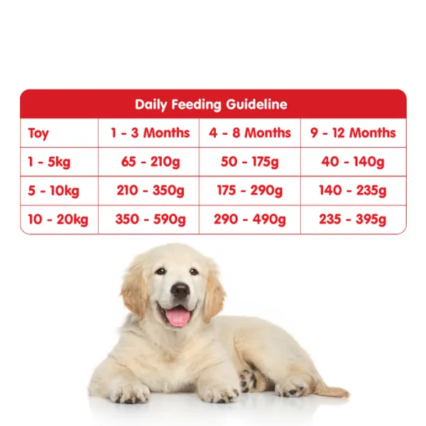 Probalance_Puppy_Dog_Food_-_Chicken,_Egg_&_Milk