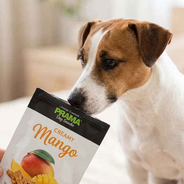 Prama_Mango_Flavored_Dog_Treats_-_70_G