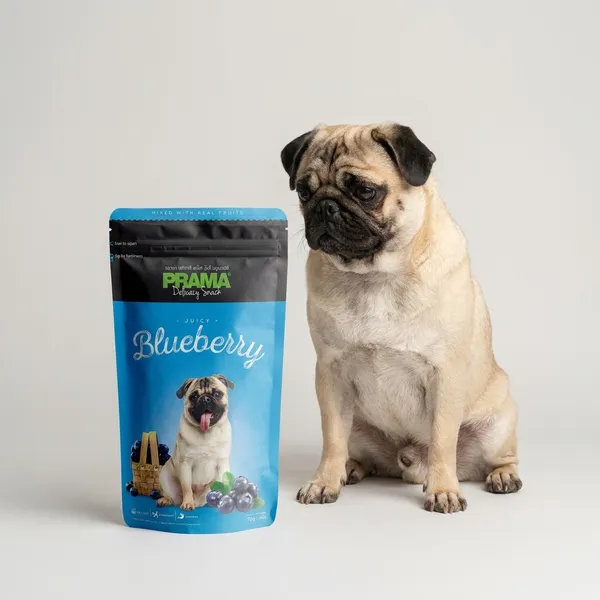 Prama_Blueberry_Dog_Treats_70_Gm