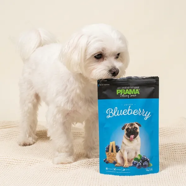 Prama_Blueberry_Dog_Treats_70_Gm