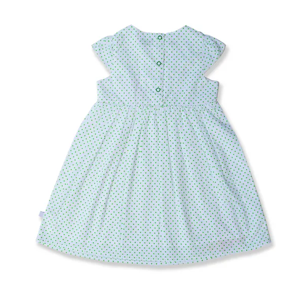 Girls_Organic_Cotton_Floral_Embroidered_Ethnic_Frock