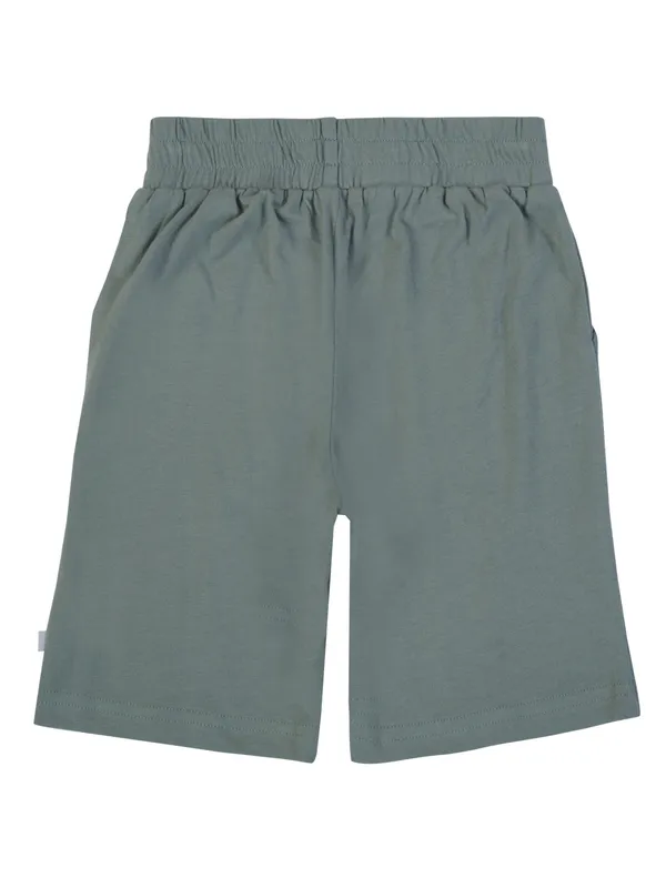 Boys_Grey_Shorts_Organic_Cotton_Soft_And_Breathable_Summer_Wear_With_Tropical_Print