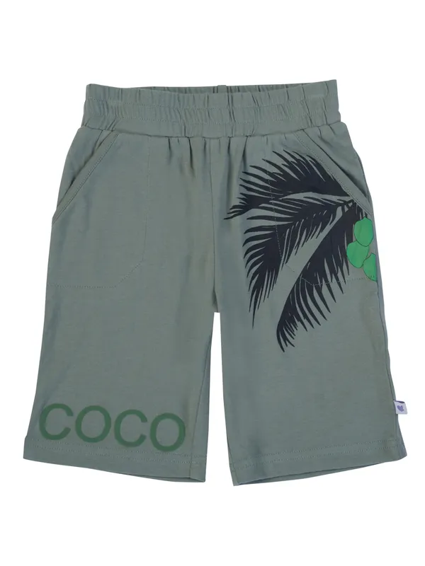 Boys_Grey_Shorts_Organic_Cotton_Soft_And_Breathable_Summer_Wear_With_Tropical_Print