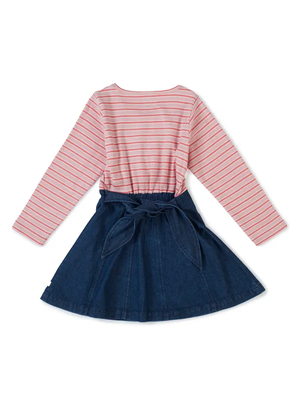 Organic_Cotton_Knits_And_Denim_Full_Sleeve_Swan_Glitter_Printed_Frock_Pink_And_Blue