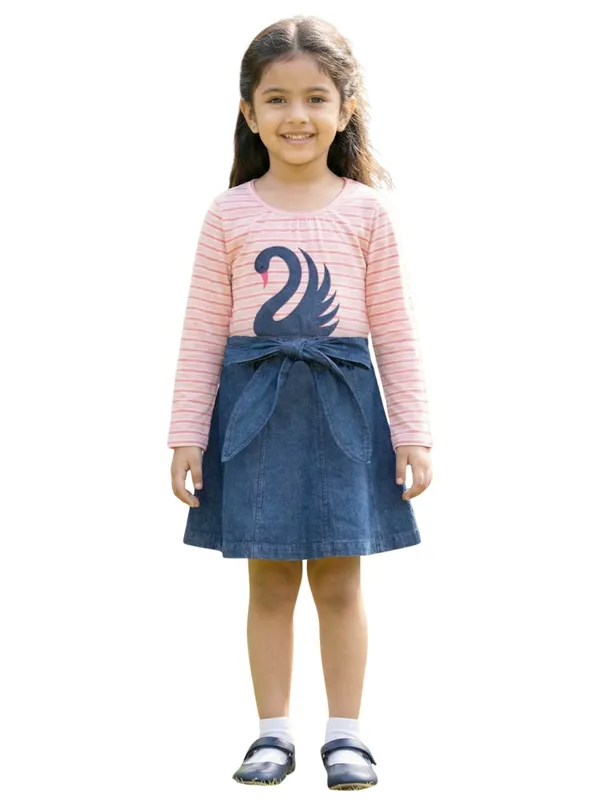 Organic_Cotton_Knits_And_Denim_Full_Sleeve_Swan_Glitter_Printed_Frock_Pink_And_Blue